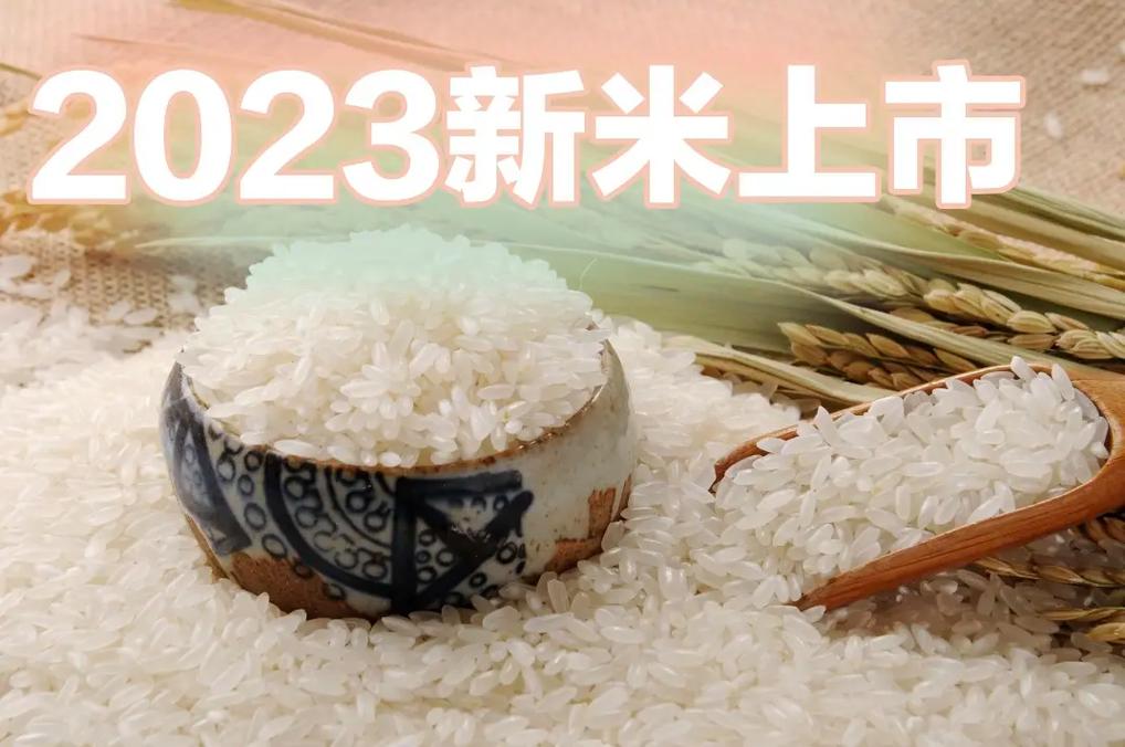 生活资讯 第60页