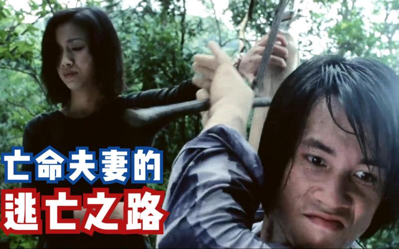 夫妻整容逃10年被抓;整容夫妇