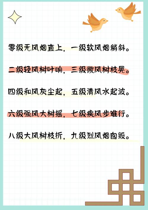 13级阵风会出现在哪;十三级风什么概念