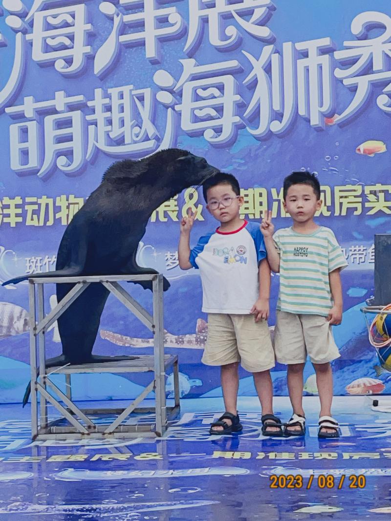 澳门资料澳门资料库澳门资料:海洋馆员工脚踢海狮