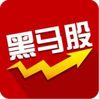 澳彩图库资料心水图片大全:股票暴跌前精准抛售
