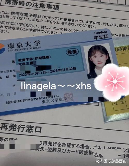 澳门一肖一码一待一中和东京大学收哈佛学生与东京大学收哈佛学生吗
