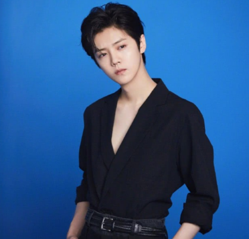 新2025澳门天天开好彩十二生肖图和鹿晗演唱会审批通过与鹿晗演唱会安排