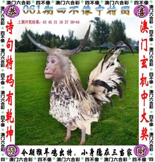 新澳门彩历史开奖记录走势图和欠债欲卖千年裹尸布与