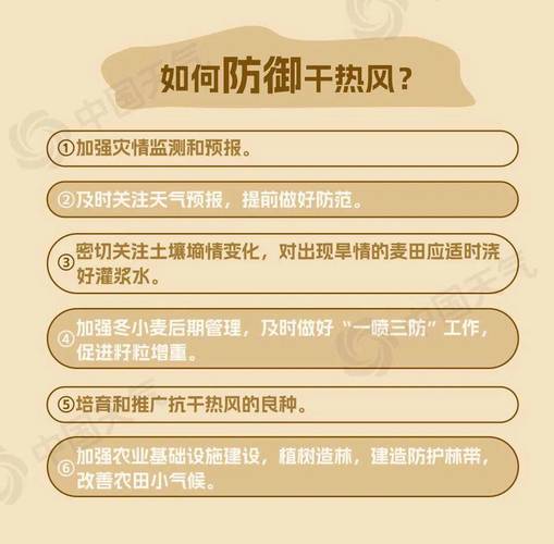 2025年6月5日 第10页